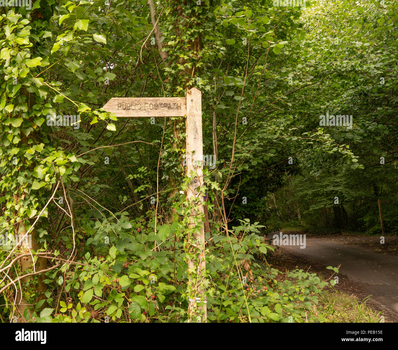 Finger post pointing to Binsted Woods, Arundel, Sussex: the site of a proposed bypass (Option 5A) for the A27: An environmentally sensitive project. Stock Photo