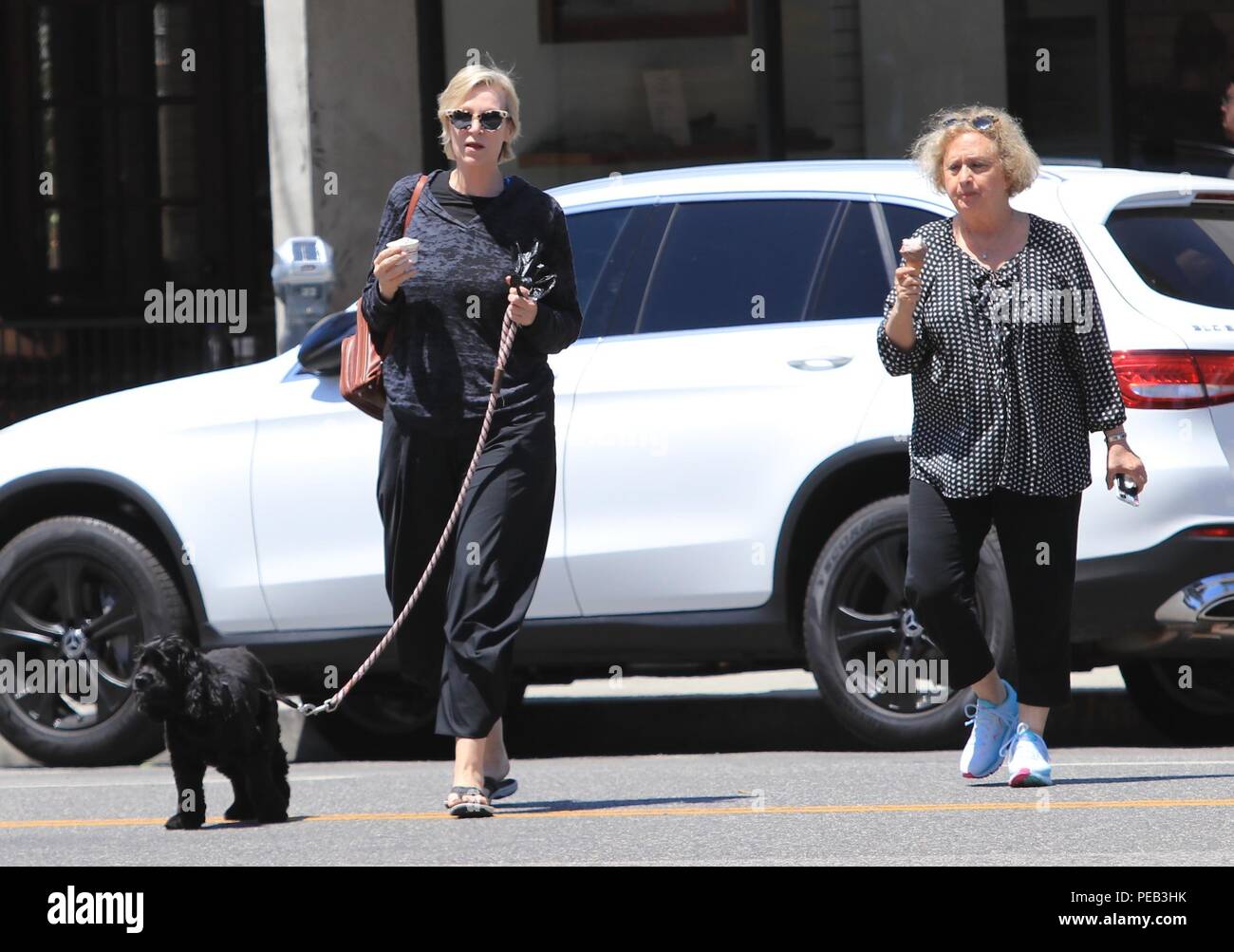 Jane Lynch goes out for ice cream at McConnell's with her dog Rumi and