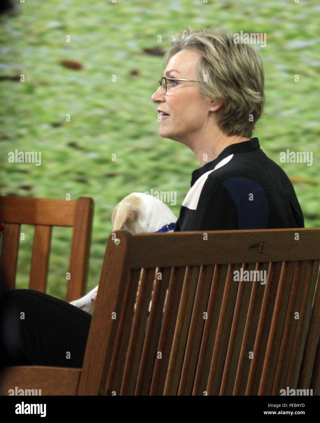 Nbc shelter hires stock photography and images Alamy