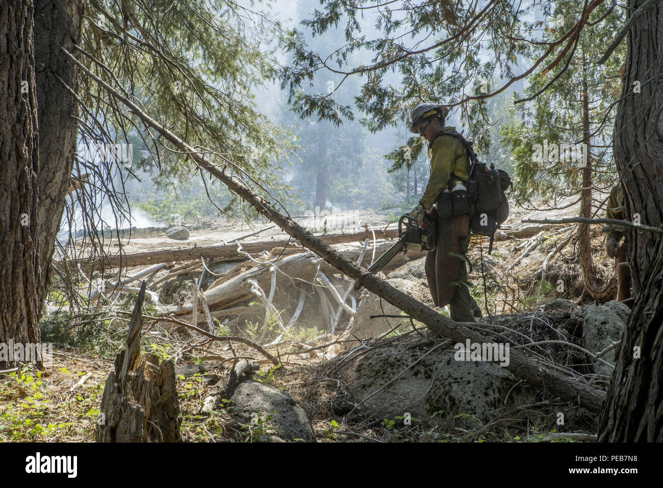 Dardnelle, California, U.S.A. 13th Aug, 2018. A Palomar HotShots Sawyer clears branches as they work to create a fire break near Kennedy Meadows. The Donnell Fire in Tuolumne County continues to grown and has reached 28,302 acres according to the U.S. Forest Service as of Monday Aug. 13, 2018. As of Monday morning 54 structures have been destroyed and 220 are stilled threatened. Credit: Marty Bicek/ZUMA Wire/Alamy Live News Stock Photo