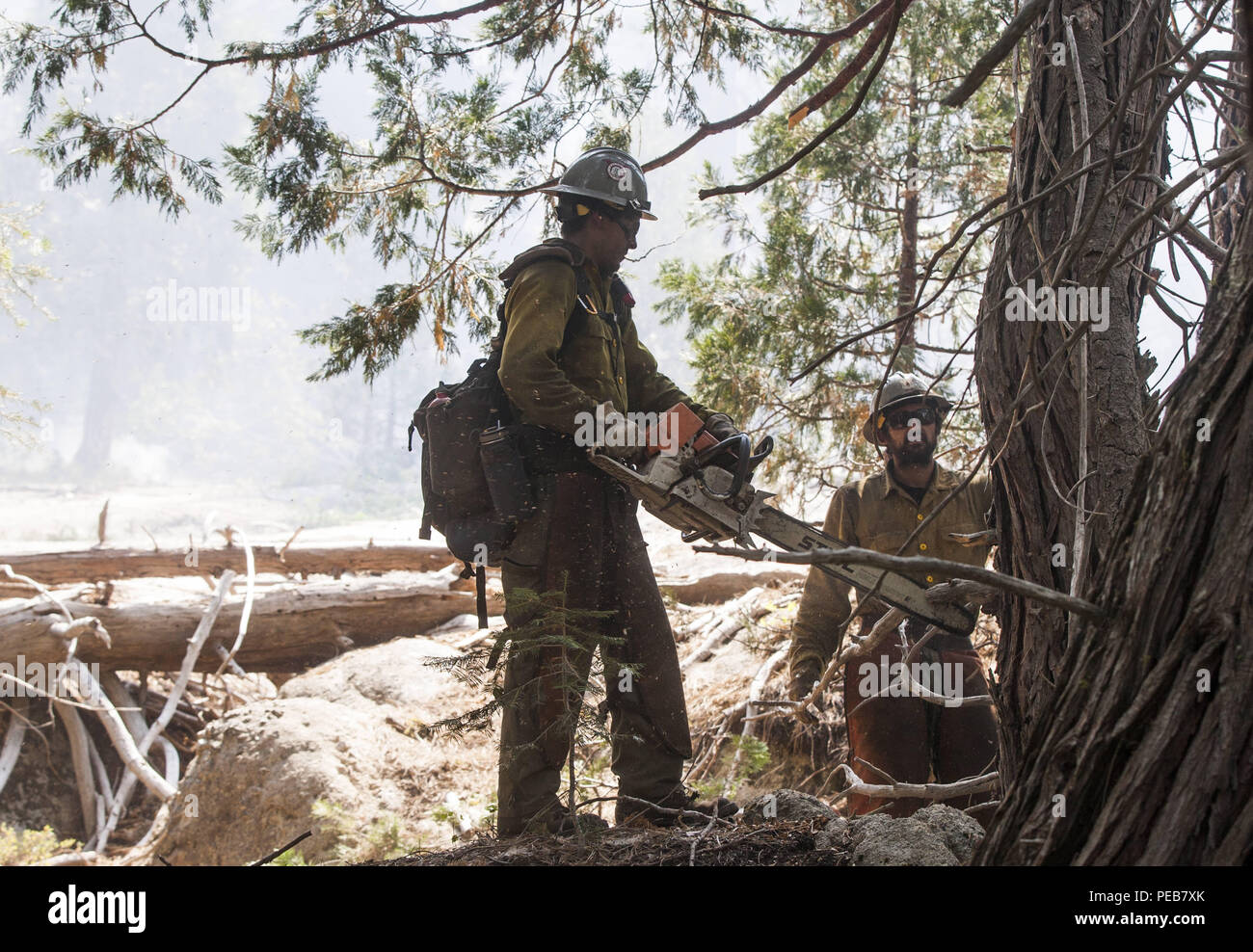 Dardnelle, California, U.S.A. 13th Aug, 2018. A Palomar HotShots Sawyer clears branches as they work to create a fire break near Kennedy Meadows. The Donnell Fire in Tuolumne County continues to grown and has reached 28,302 acres according to the U.S. Forest Service as of Monday Aug. 13, 2018. As of Monday morning 54 structures have been destroyed and 220 are stilled threatened. Credit: Marty Bicek/ZUMA Wire/Alamy Live News Stock Photo