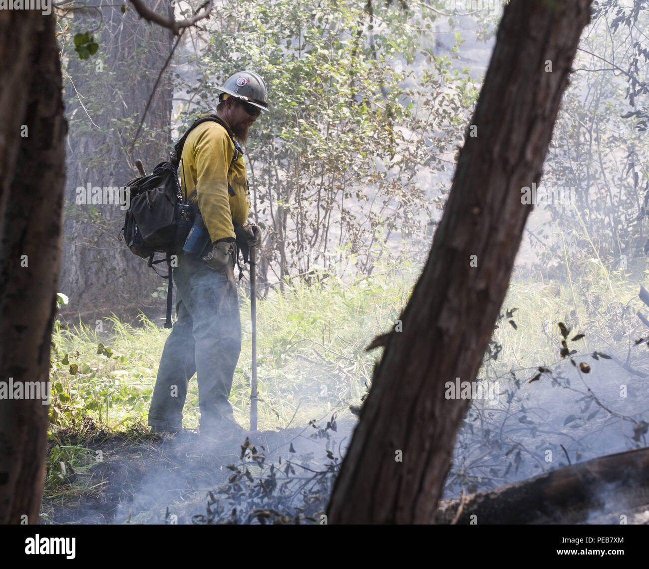 Dardnelle, California, U.S.A. 13th Aug, 2018. A Palomar HotShots firefighter watches a fire line that his crew just build near Kennedy Meadows. The Donnell Fire in Tuolumne County continues to grown and has reached 28,302 acres according to the U.S. Forest Service as of Monday Aug. 13, 2018. As of Monday morning 54 structures have been destroyed and 220 are stilled threatened. Credit: Marty Bicek/ZUMA Wire/Alamy Live News Stock Photo