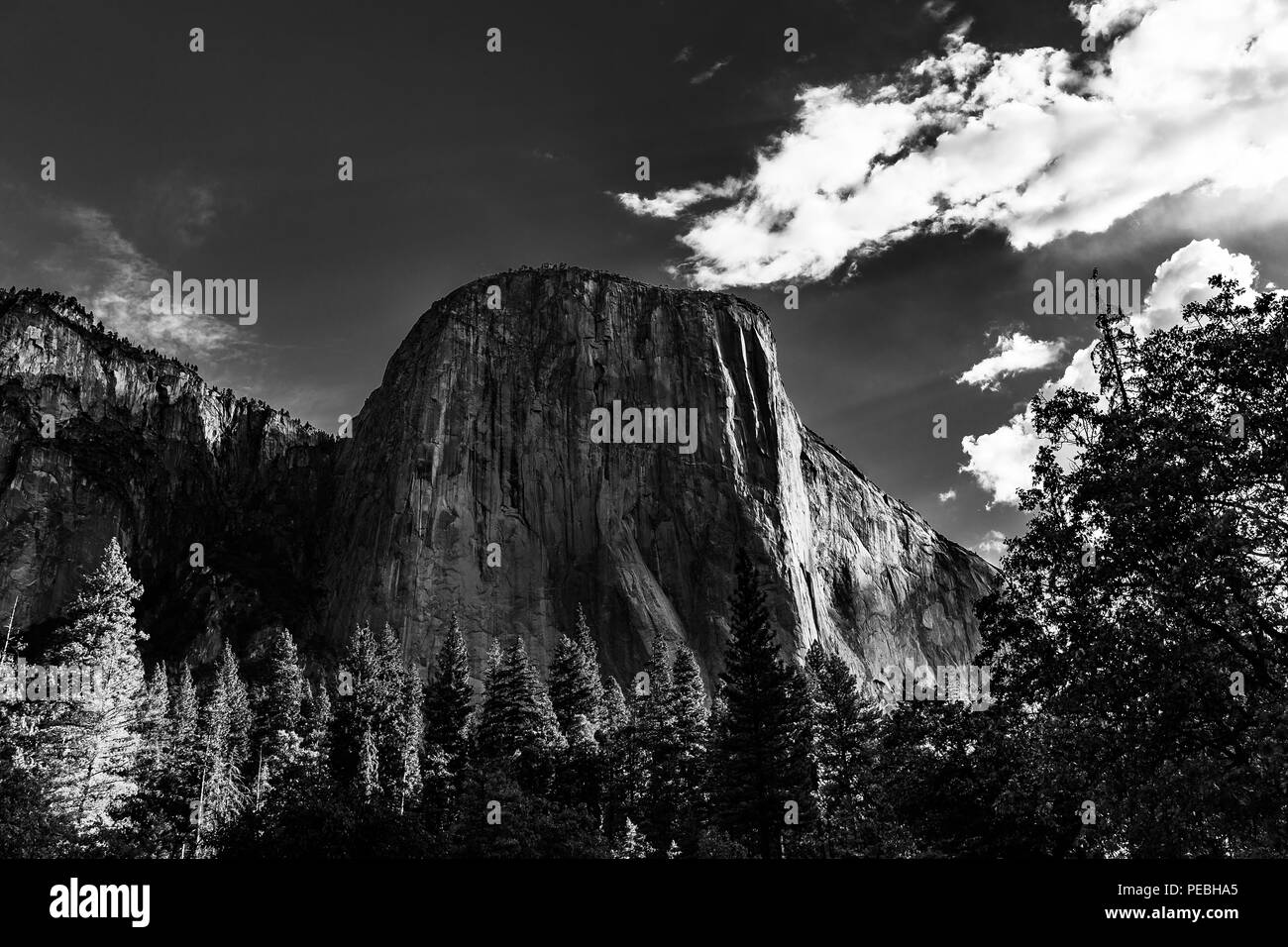 World famous rock climbing wall of El Capitan, Yosemite national park, California, usa Stock