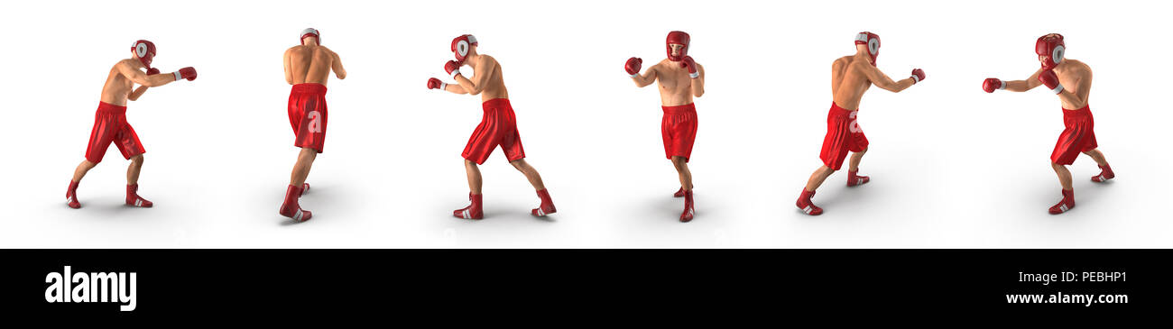 Male boxer renders set from different angles on a white background. 3D illustration Stock Photo