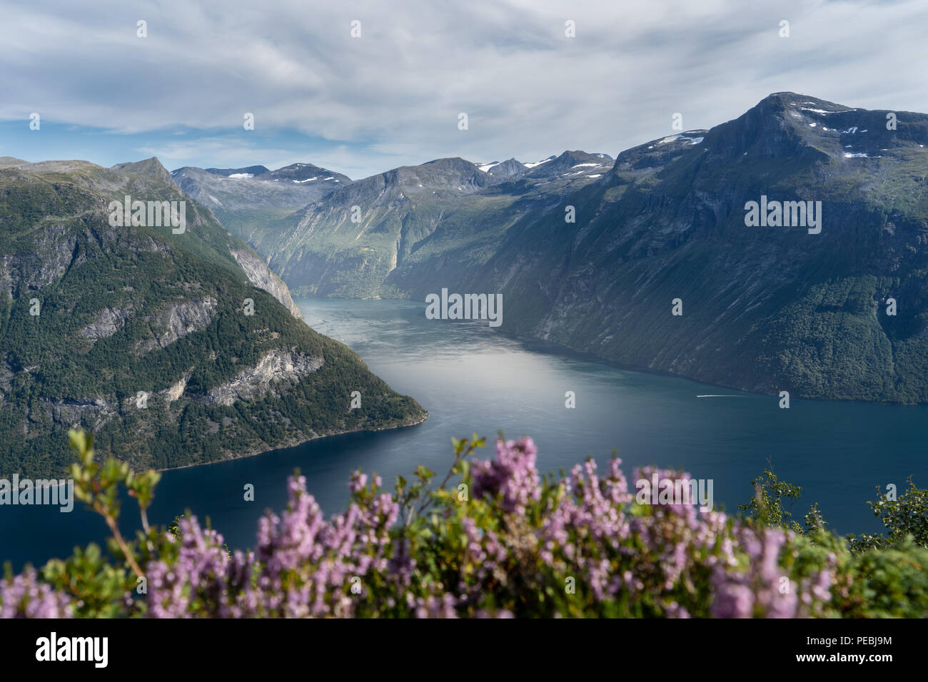 Geirangerfjord and heather Stock Photo