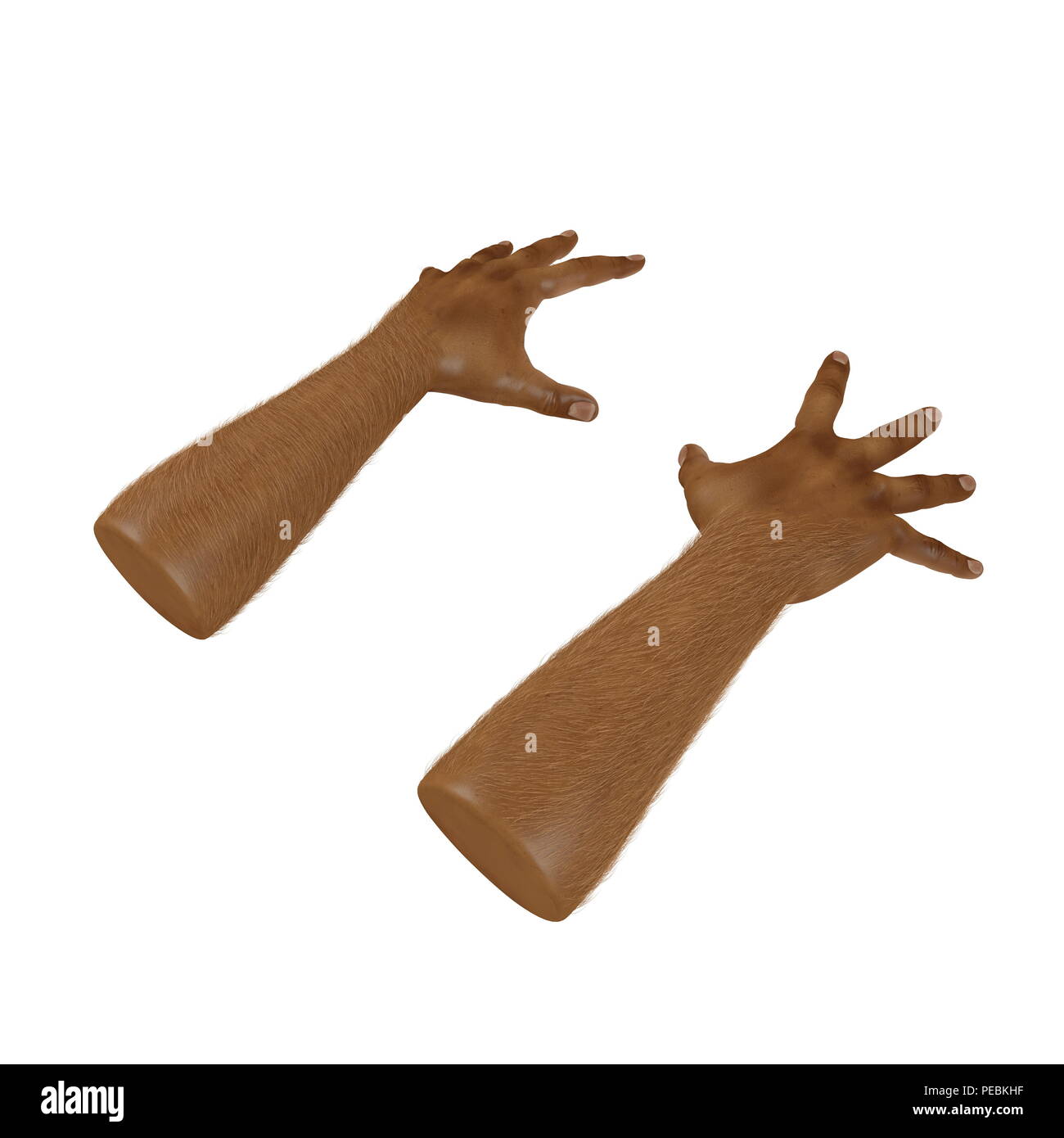Man Hands Swarthy Skin on white. 3D illustration Stock Photo - Alamy