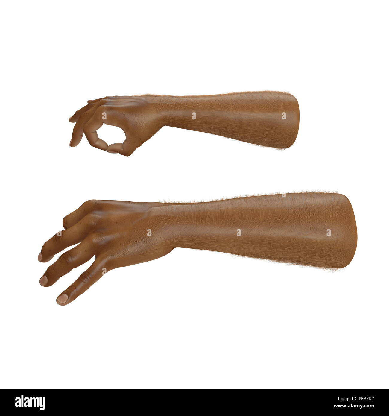 Man Hands ok sign Swarthy Skin on white. 3D illustration Stock Photo ...