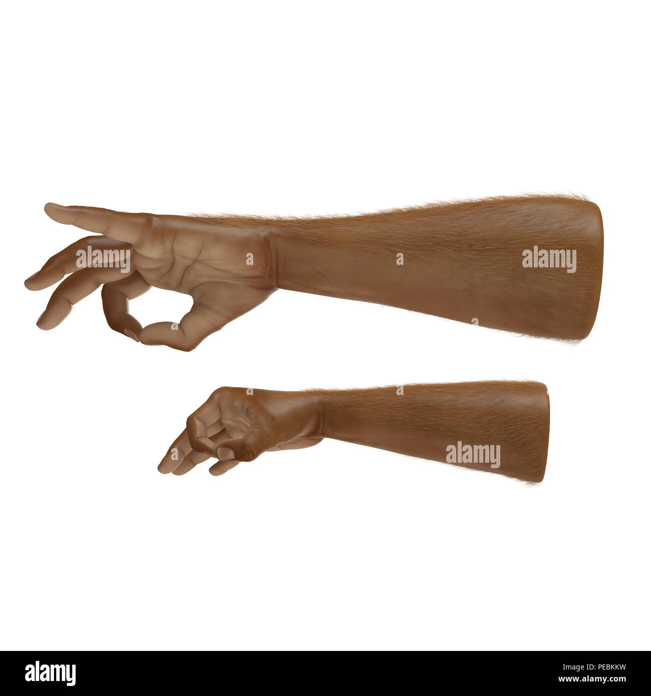 Man Hands ok sign Swarthy Skin on white. 3D illustration Stock Photo ...