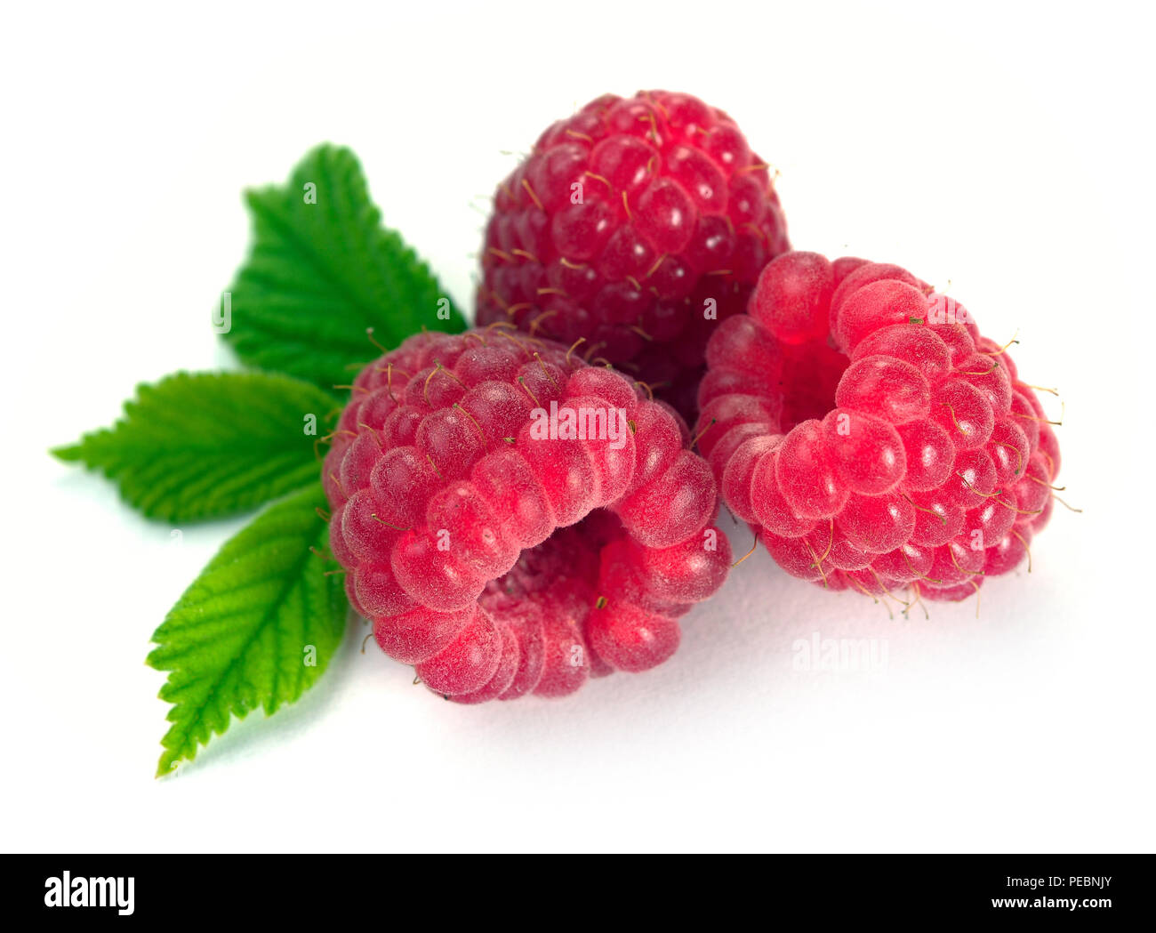 Raspberry with leaves on a white background Stock Photo - Alamy