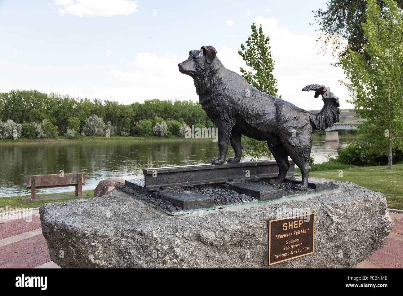 Statue of Dog Shep by Bob Scriver in Fort Benton, Montana, USA Stock Photo  - Alamy
