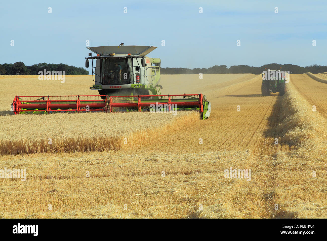 Barley, field, harvest, harvester, machine, combine, Claas Lexion 760, agriculture, crop, corn, harvesting Stock Photo