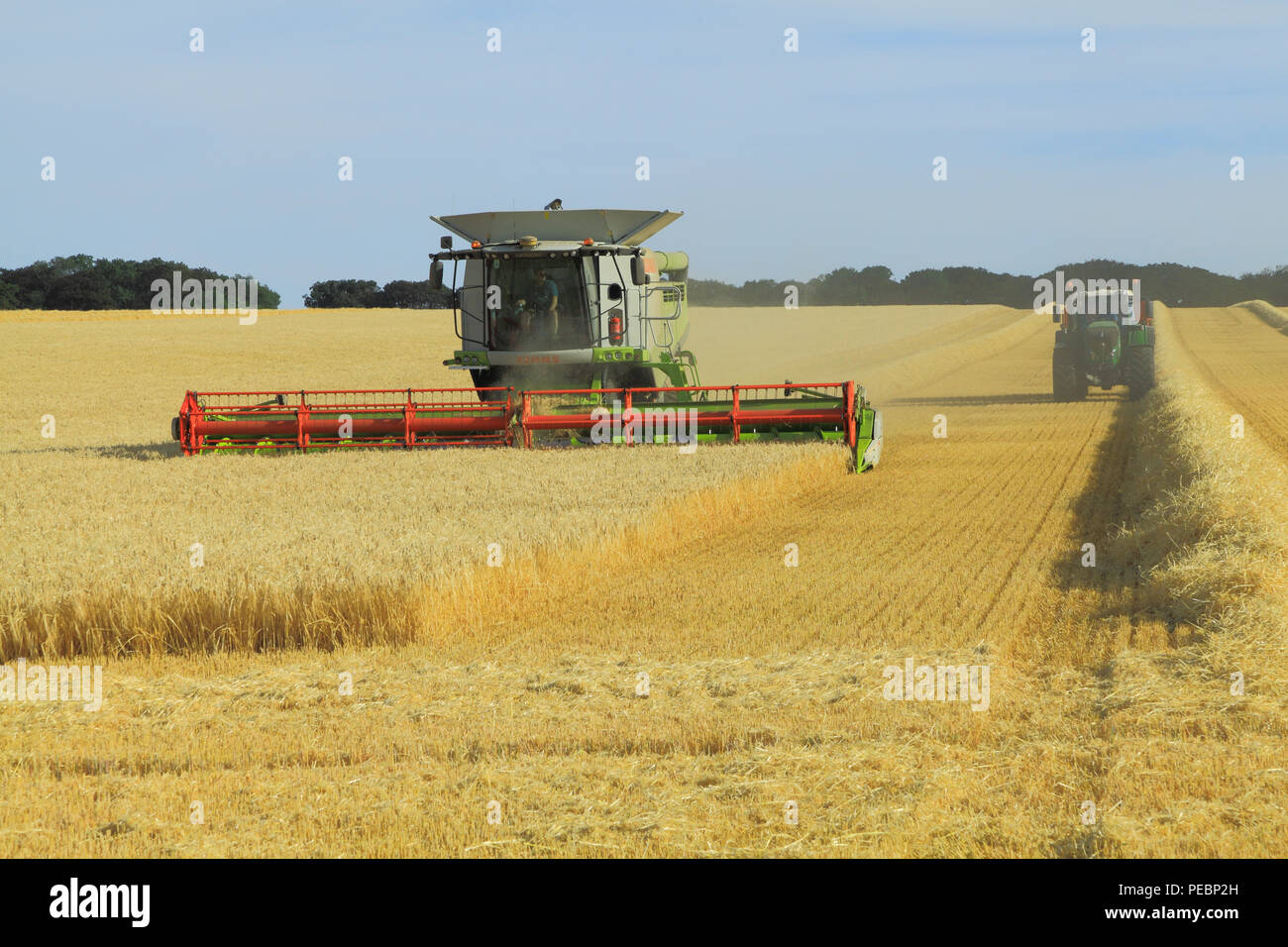 Barley, field, harvest, harvester, machine, combine, Claas Lexion 760, agriculture, crop, corn, harvesting Stock Photo