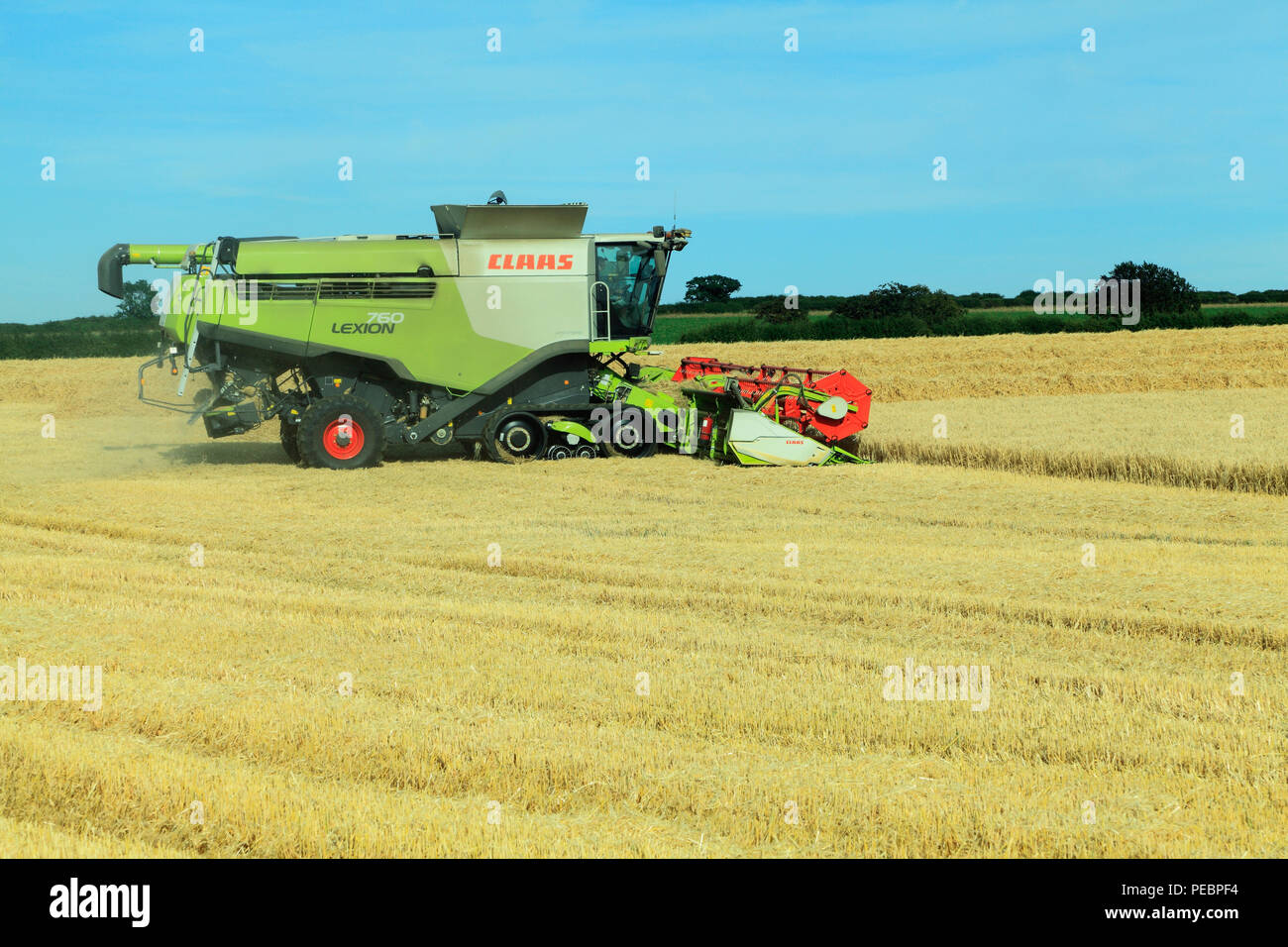 Barley, field, harvest, harvester, machine, combine, Claas Lexion 760, agriculture, crop, agricultural. Stock Photo