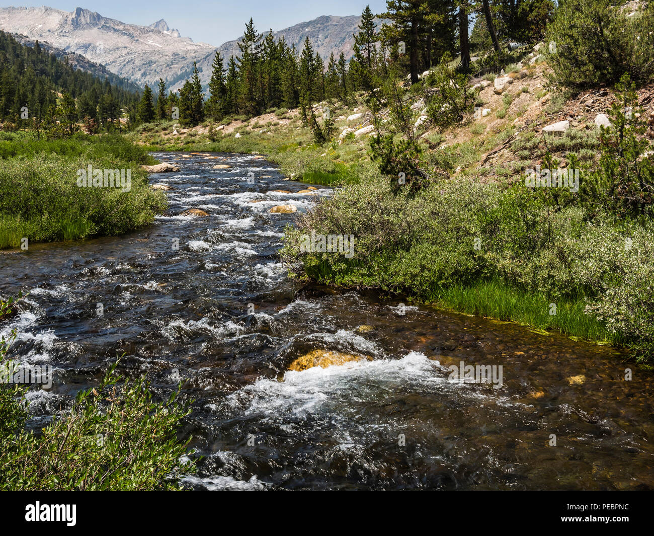 lee vining creek from saddlebag lake, lee vining ca Stock Photo - Alamy