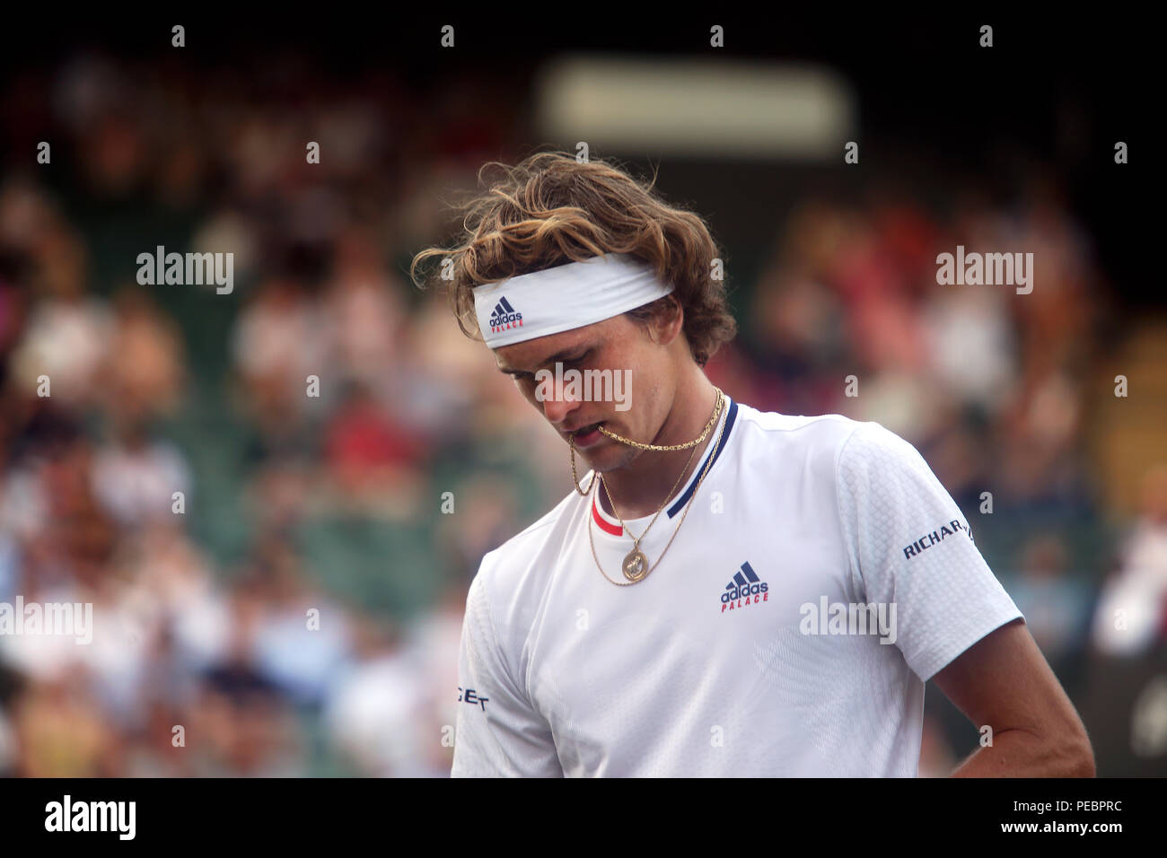 Zverev High Resolution Stock Photography and Images - Alamy
