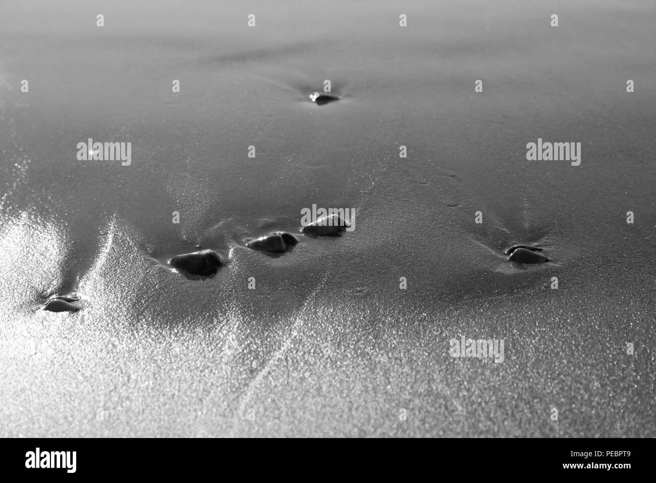 Sandy pebbles Black and White Stock Photos & Images - Alamy