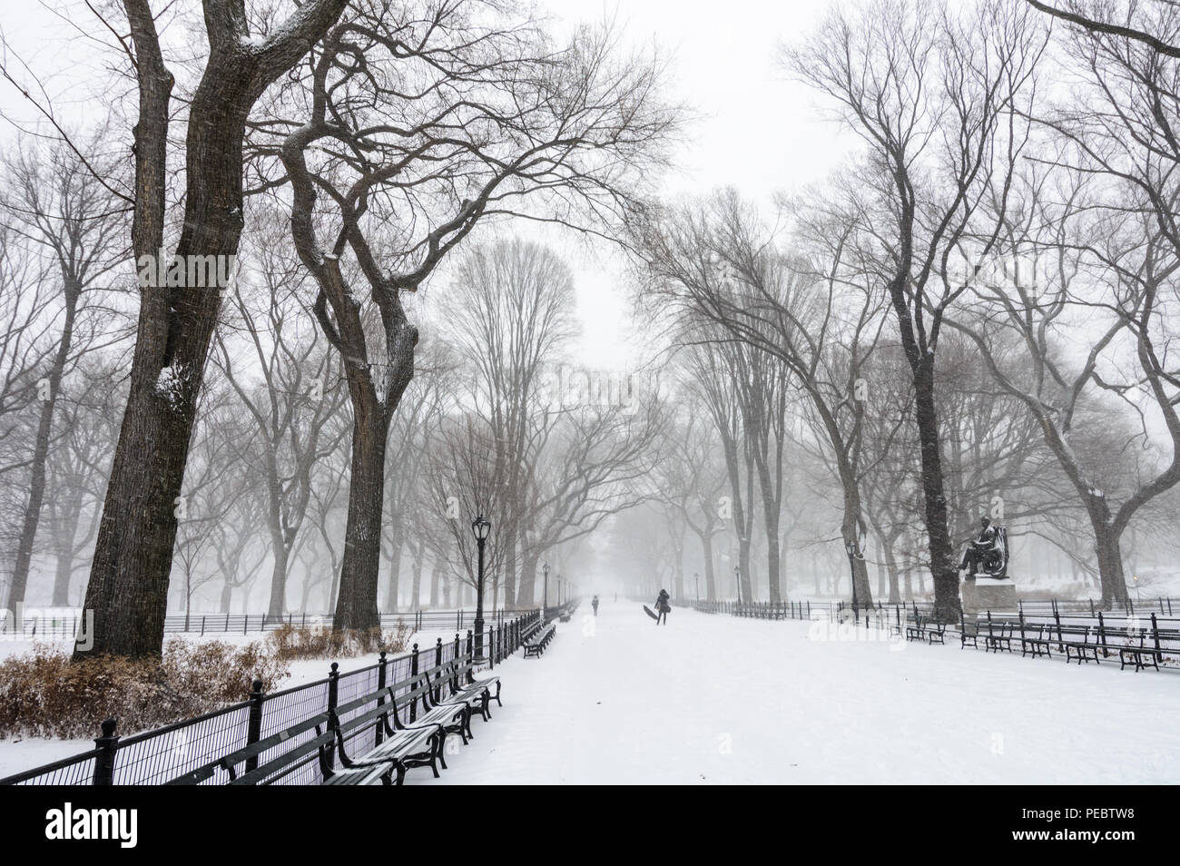 A woman holds her umbrella along the snow covered Mall in Central Park after Winter Storm Grayson in January 2018. Stock Photo