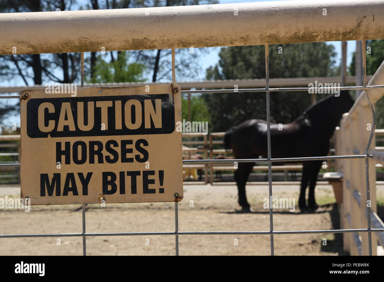 A Black Horse and Warning 'Caution : Horses May Bite' Stock Photo