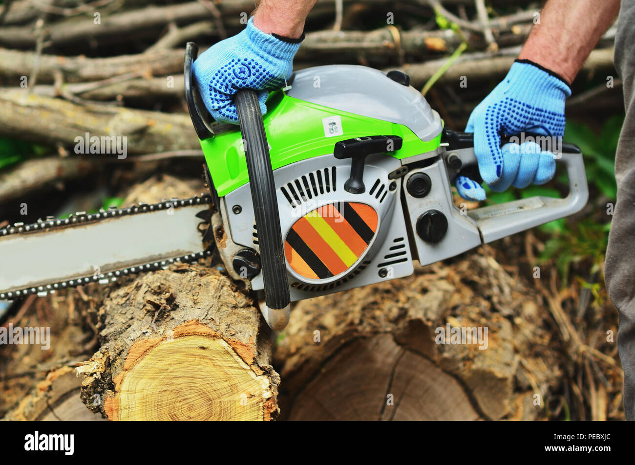 Lumberjack in gloves saws firewood hi-res stock photography and images ...