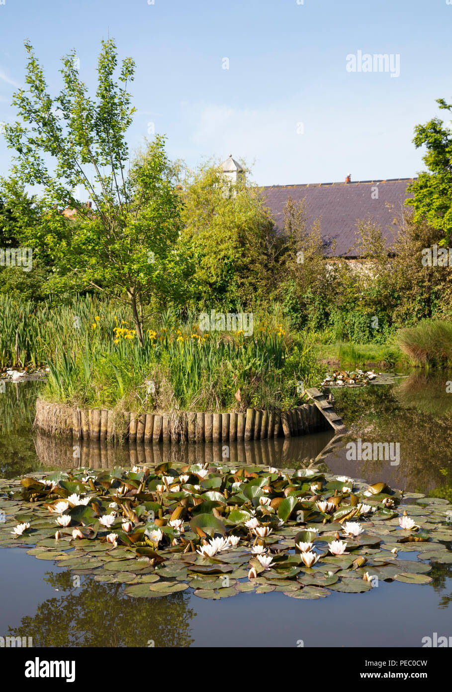 Village Pond Rottingdean, East Sussex, Home of Rudyard Kipling Stock Photo
