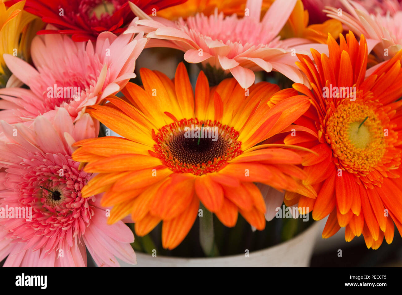 Bright coloured bouquets of flowers for sale on market stall Provence France Stock Photo Alamy