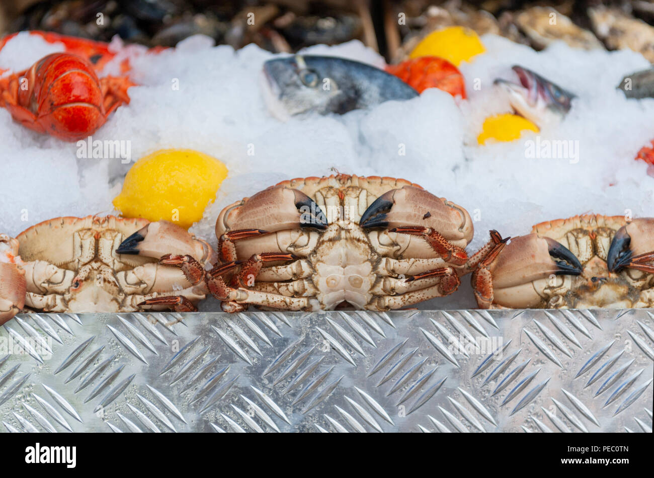 Large fresh crabs for sale on market stall in Provence France Stock