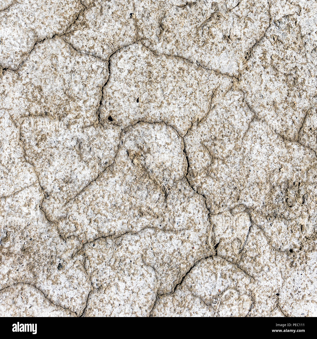 Dry cracks on a salt marsh in Lower Saxony, Germany, with white salt precipitates of sodium chloride and calcium chloride. Stock Photo