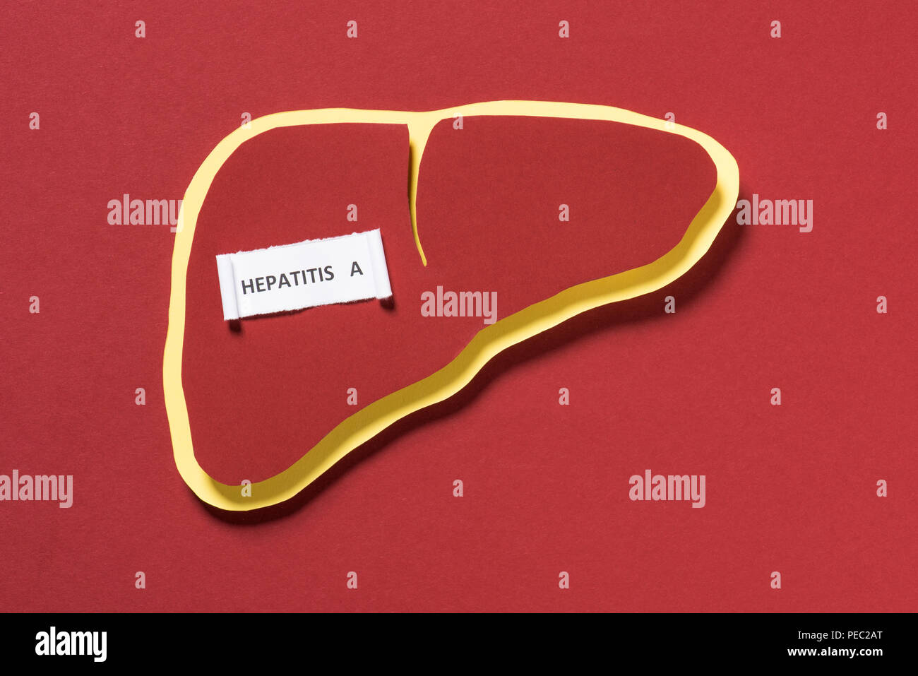 Hepatitis Lettering top view of liver and lettering hepatitis a on red background, world ...