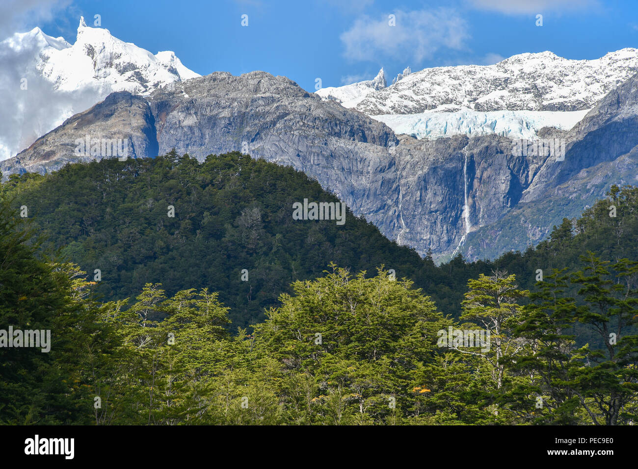 San Rafael glacier on Monte San Valentin, rainforest, Carretera austral, Valle Exploradores, San Rafael National Park Stock Photo