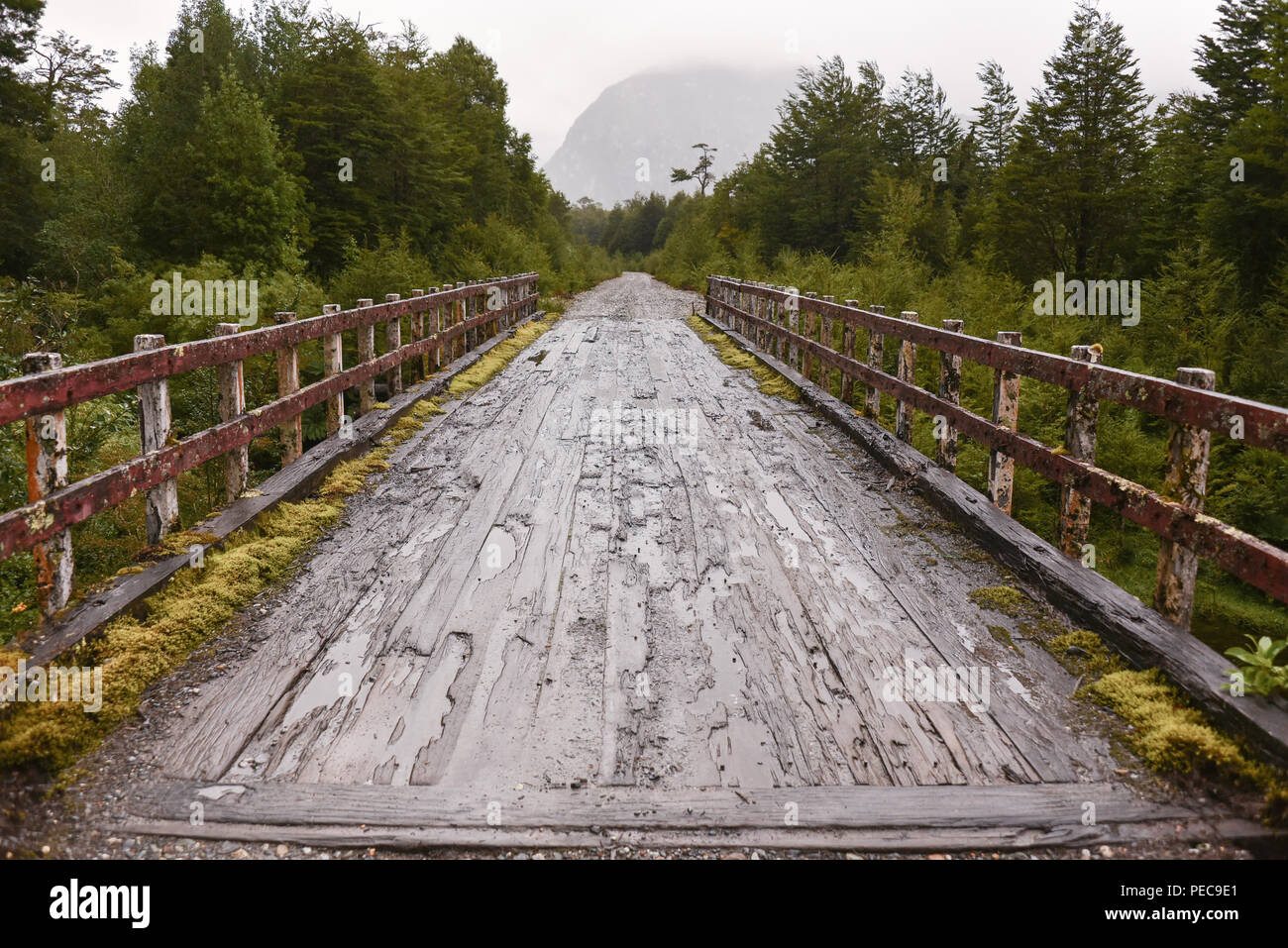Simple wooden bridge at Mirador Glaciar Exploradores, Parque Exploradores, Carretera Austral, Patagonia, Chile Stock Photo
