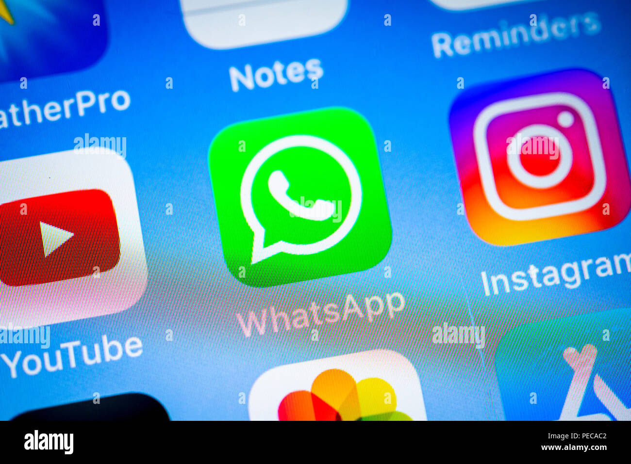 Whatsapp Messenger App Icon On Iphone Ios Smartphone Screen Display