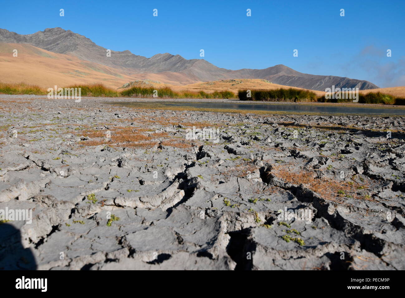 Dried out Lake, Black Rock Lake, Lagodekhi, Kakheti, Georgia Stock ...