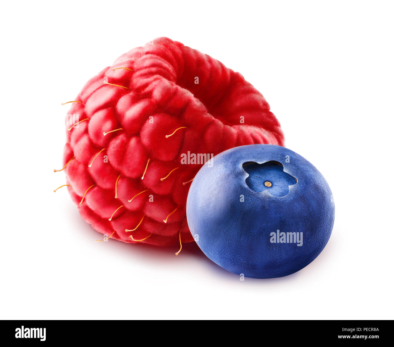 Wild isolated berries. Blueberry or blackberry and raspberry over white background, with clipping path. Stock Photo