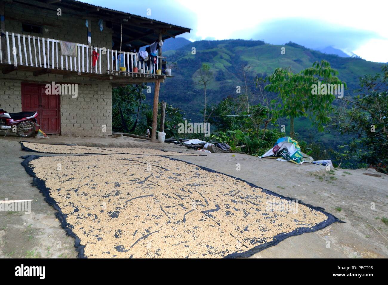 Cajamarca: Sons of the Sun