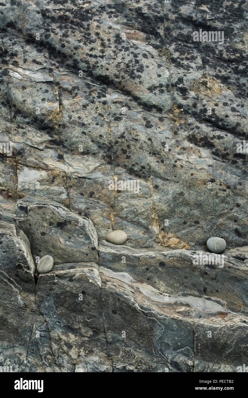 Pebbles on wave eroded rocks, west Wales, UK. Stock Photo