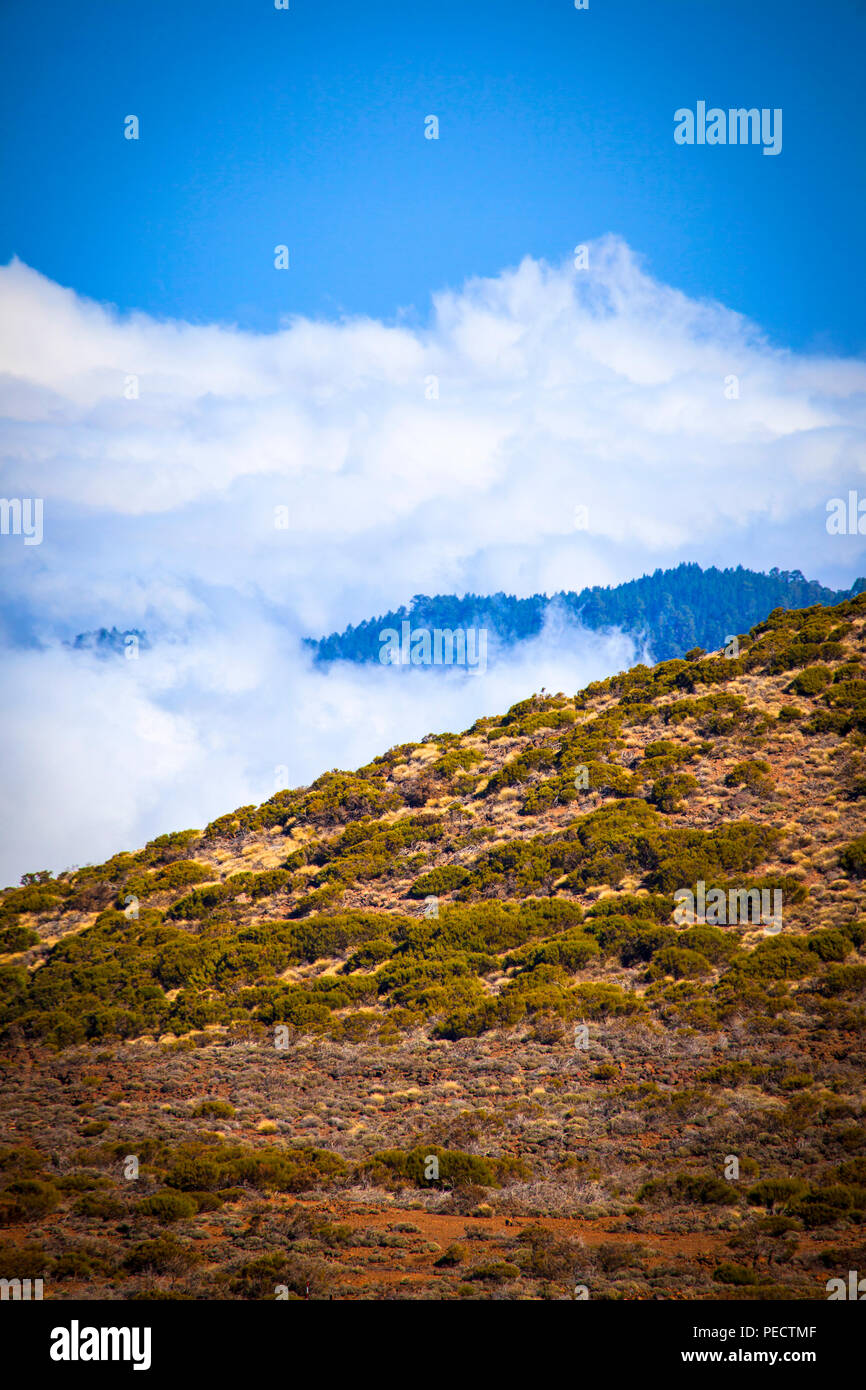 Teide National Park, Parque nacional del Teide. The volcanic Mount Teide, or Pico del Teide, Tenerife, Canary Islands - at 3,718 high, it’s the third  Stock Photo