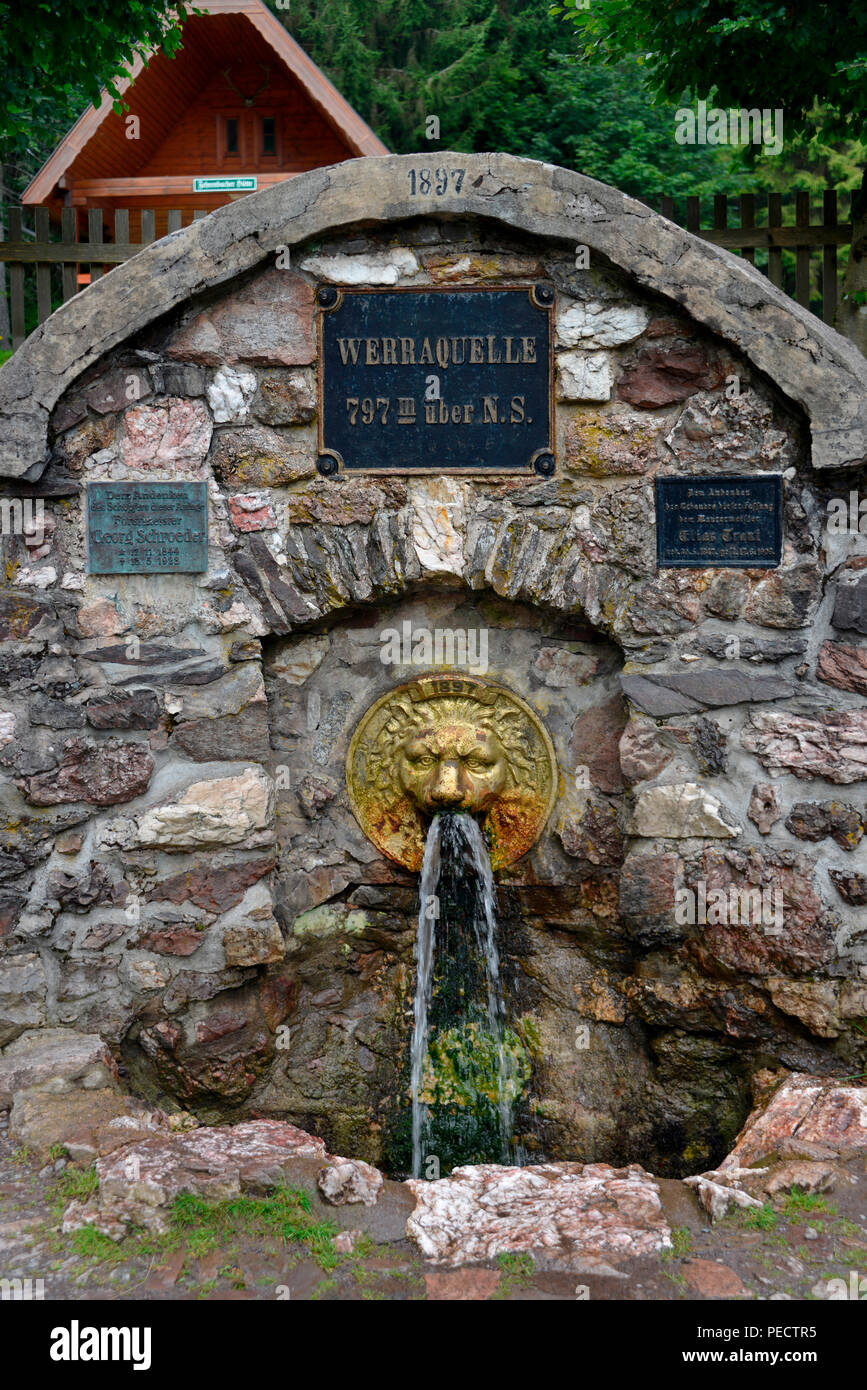 Werra source, Masserberg, Thuringian Forest, Thuringia, Germany Stock Photo