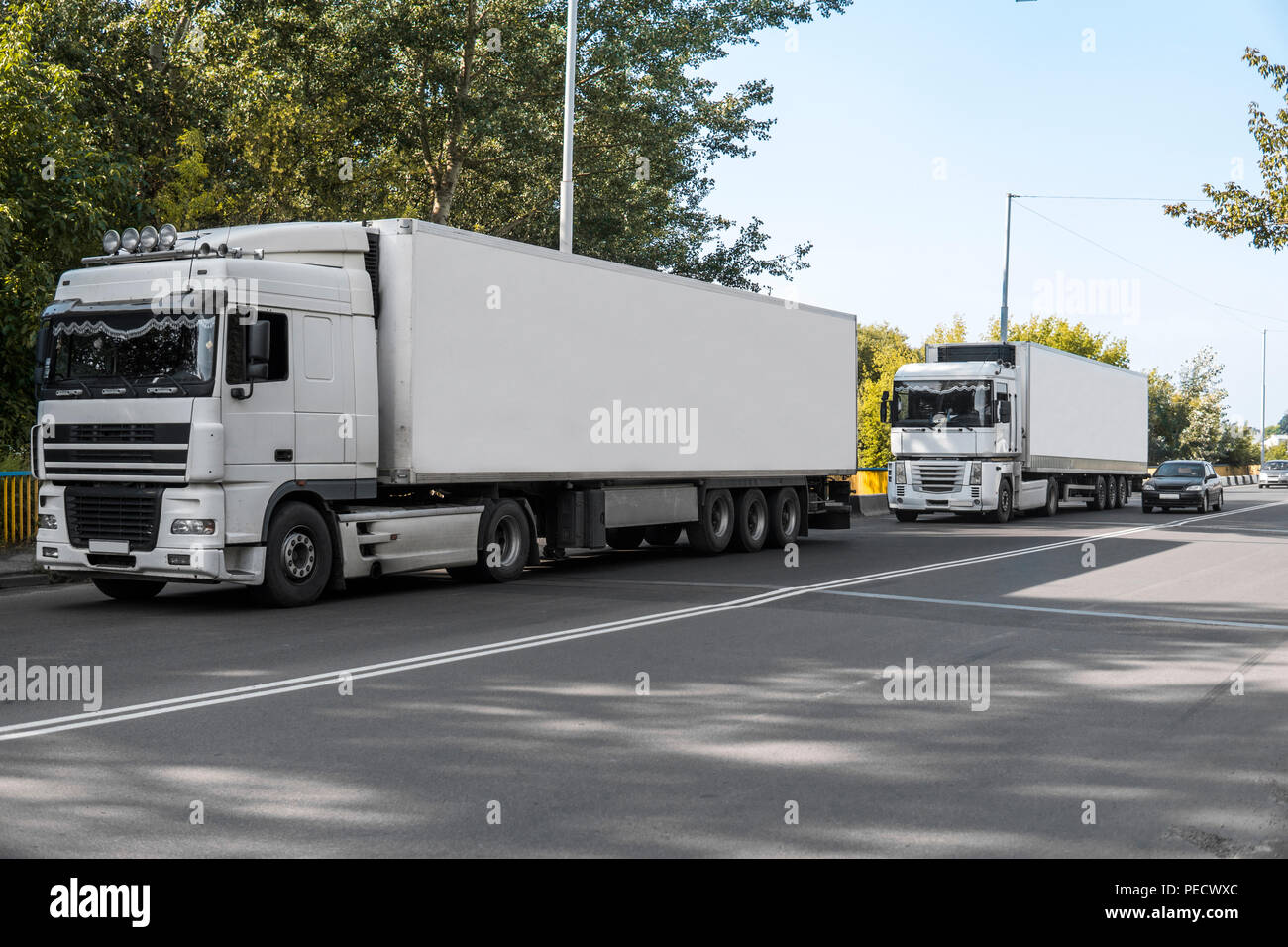 Two trucks on a road against blue sky and trees, cargo transportation ...