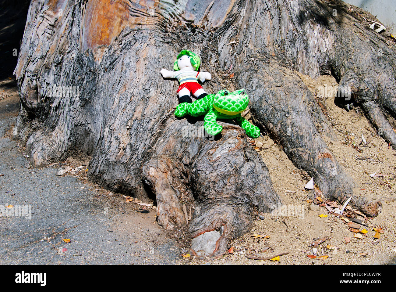 Two inflatable toys on the root of an huge old tree Stock Photo
