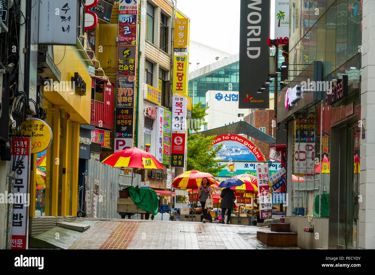 South Koreans with Umbrellas on Rainy Day Busan Pusan South Korea Asia Stock Photo