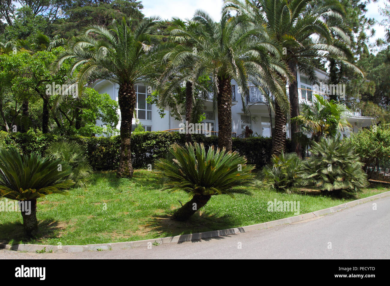 The two-storey house stands surrounded by picturesque palm trees. Stock Photo