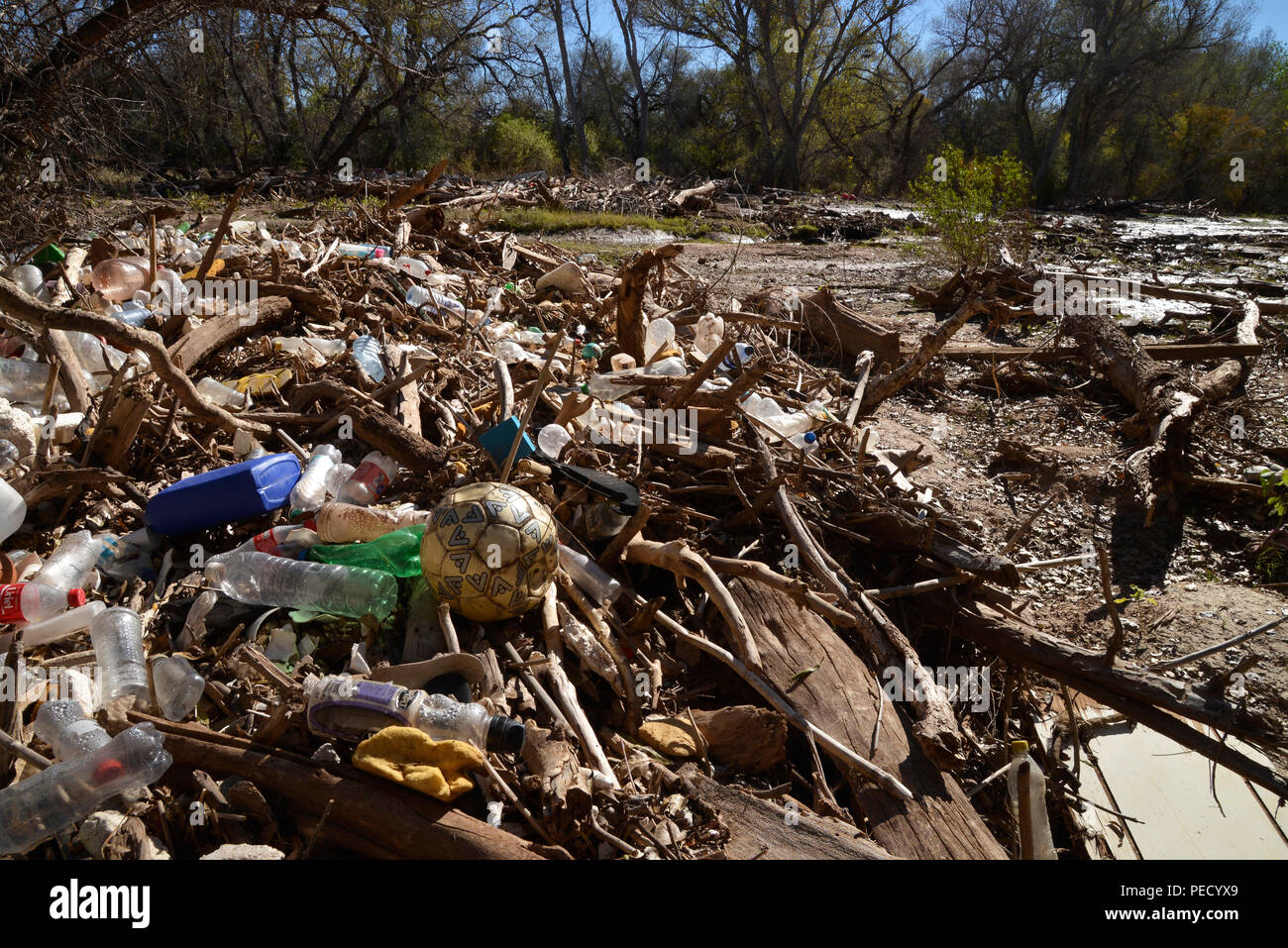 Trash including plastics clogs the Santa Cruz River along the