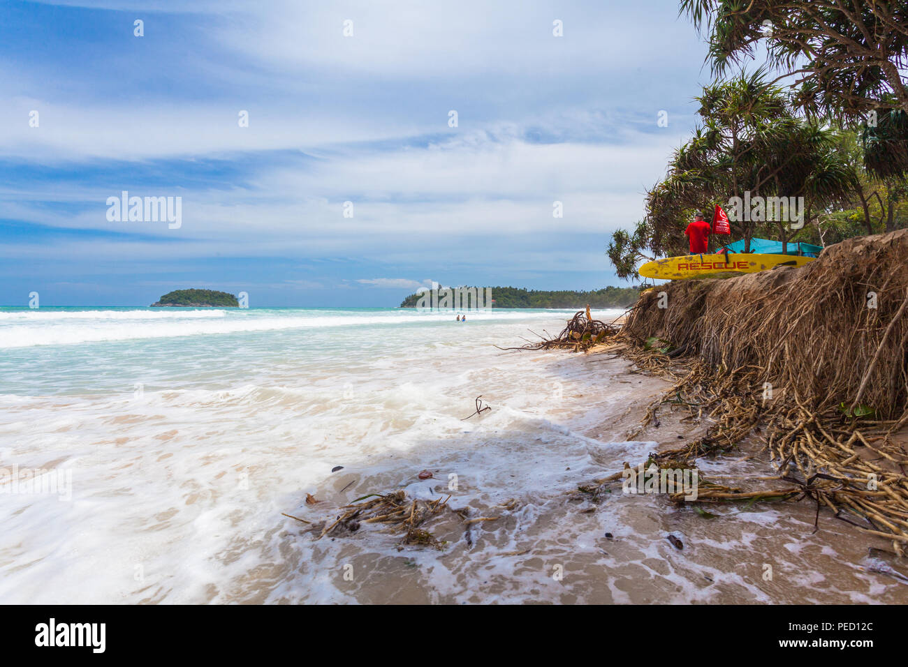 big waves hit the Pandanus trees on Kata beach Phuket were shattered
