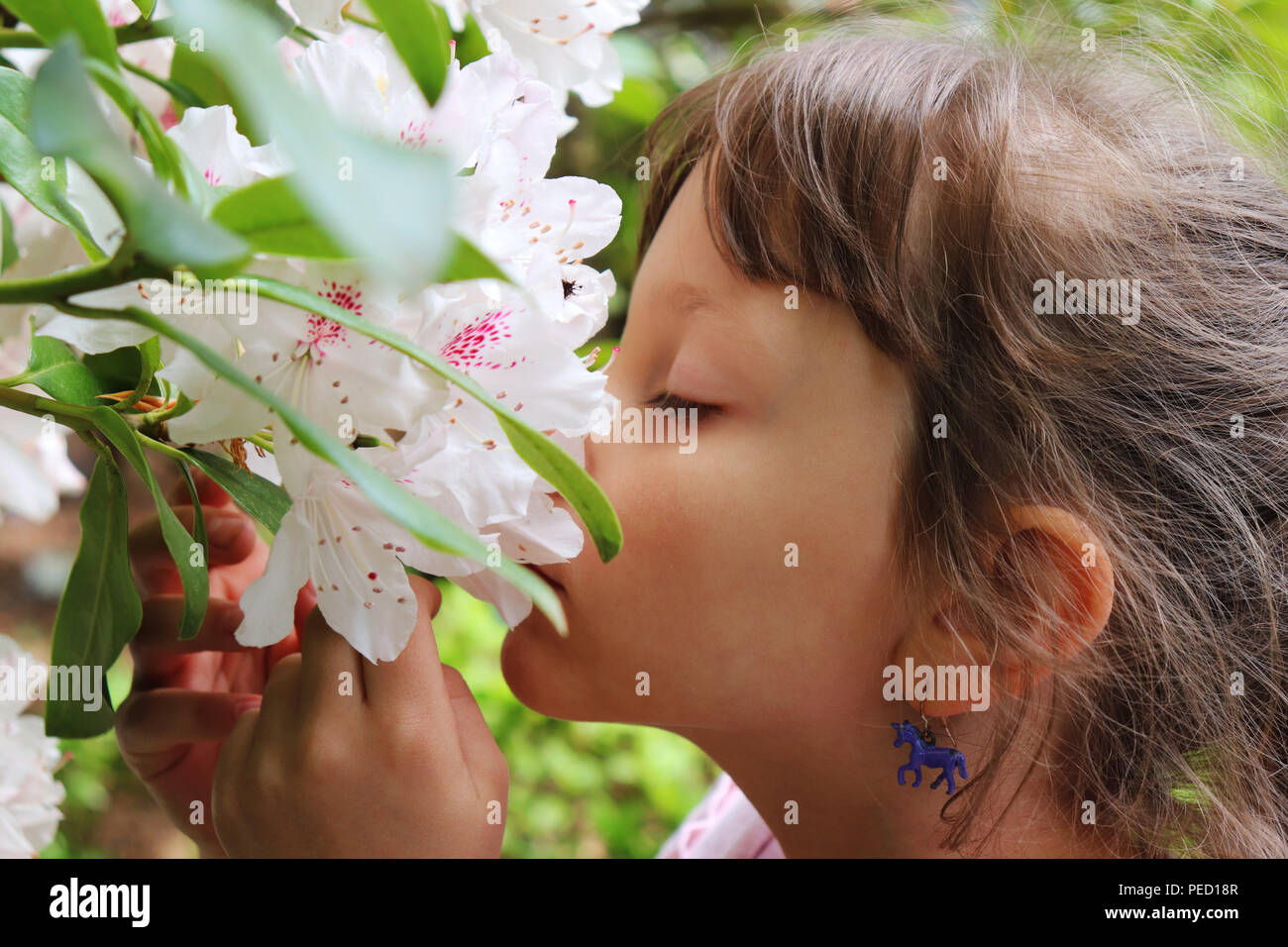 Beautiful girl smelling white flower Stock Photo
