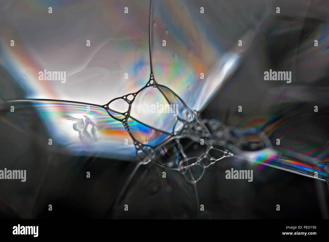 Soap bubbles show the interference of light reflecting off the surfaces