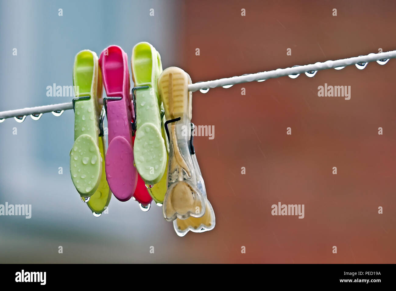 Dripping wet hi-res stock photography and images - Alamy