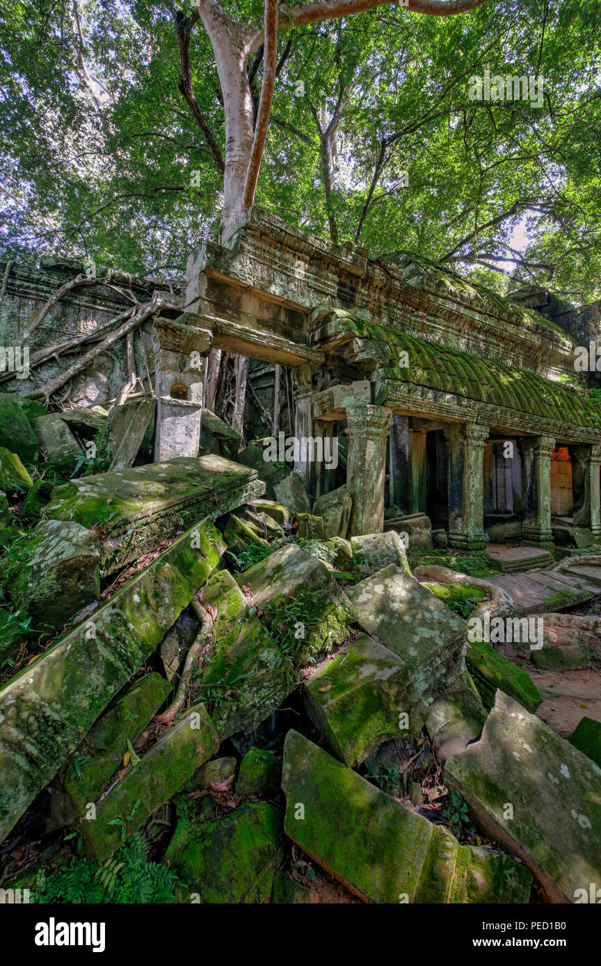 Ta Prohm  'Tomb Raider' Temple, Siem Reap, Cambodia Stock Photo
