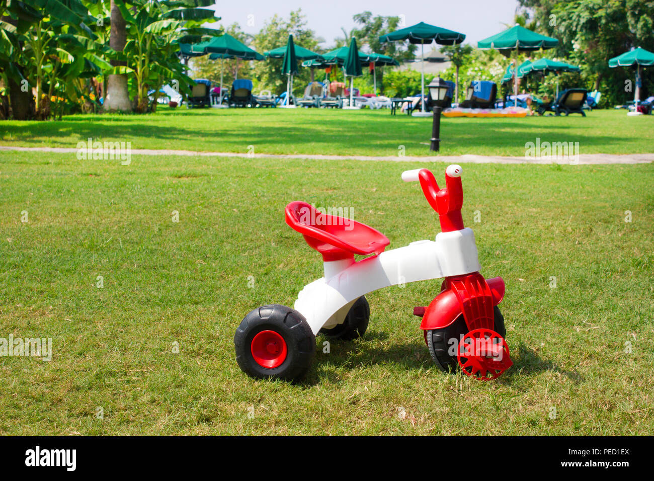 Children's threewheeled red and white bicycle on a green grass Stock Photo Alamy