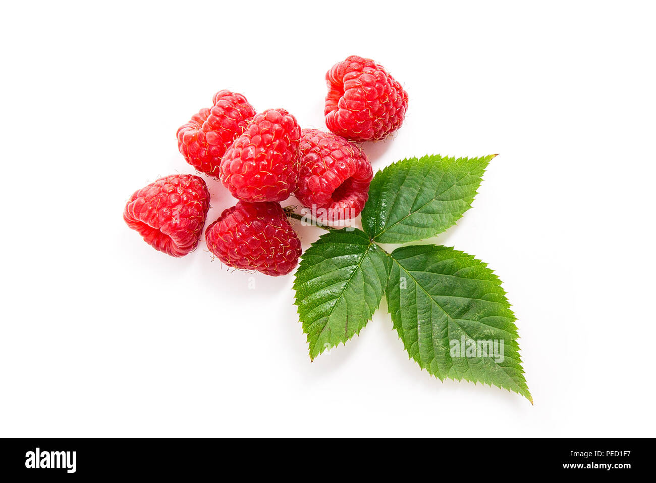 Close up view of fresh raspberries fruits with green leaf of raspberry ...