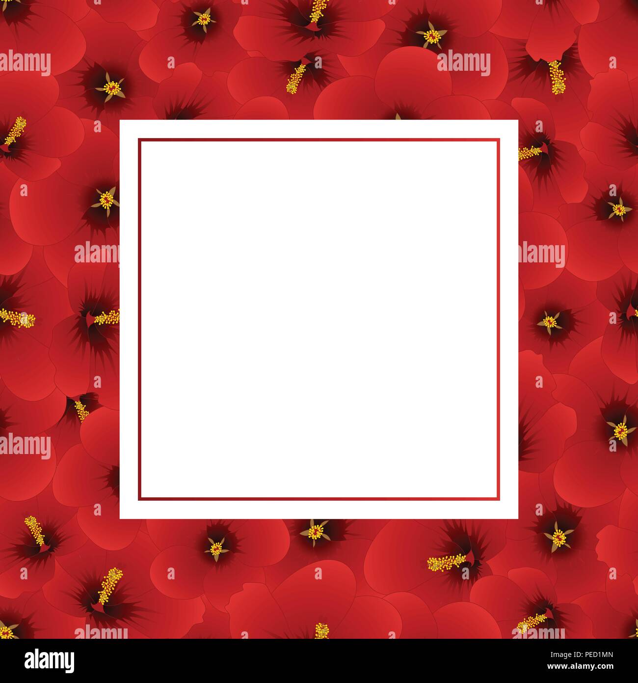 Red Hibiscus syriacus - Rose of Sharon Banner Card. Vector Illustration ...
